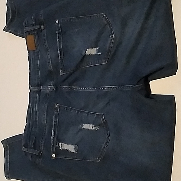 Womens Judy Blue Snake Python Patch Skinny Jeans 20W - Picture 4 of 7